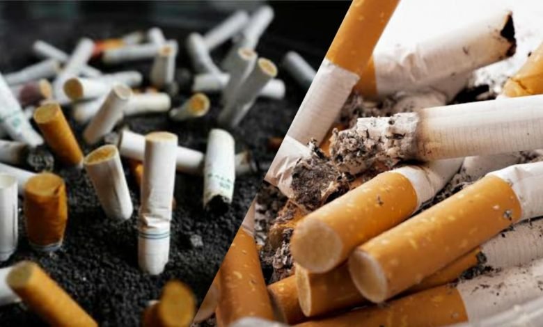 cigarette filters used in making essential commodities of daily life