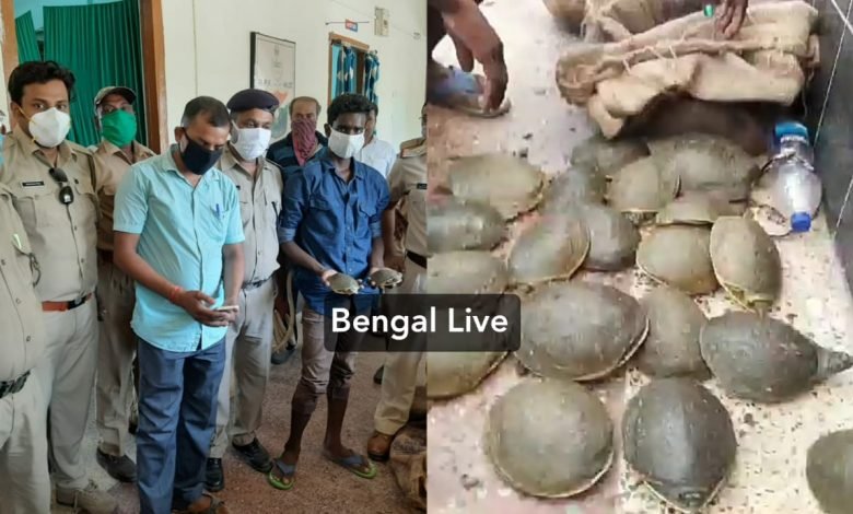 three bagfuls tortoises seized by rpf in maldah town station