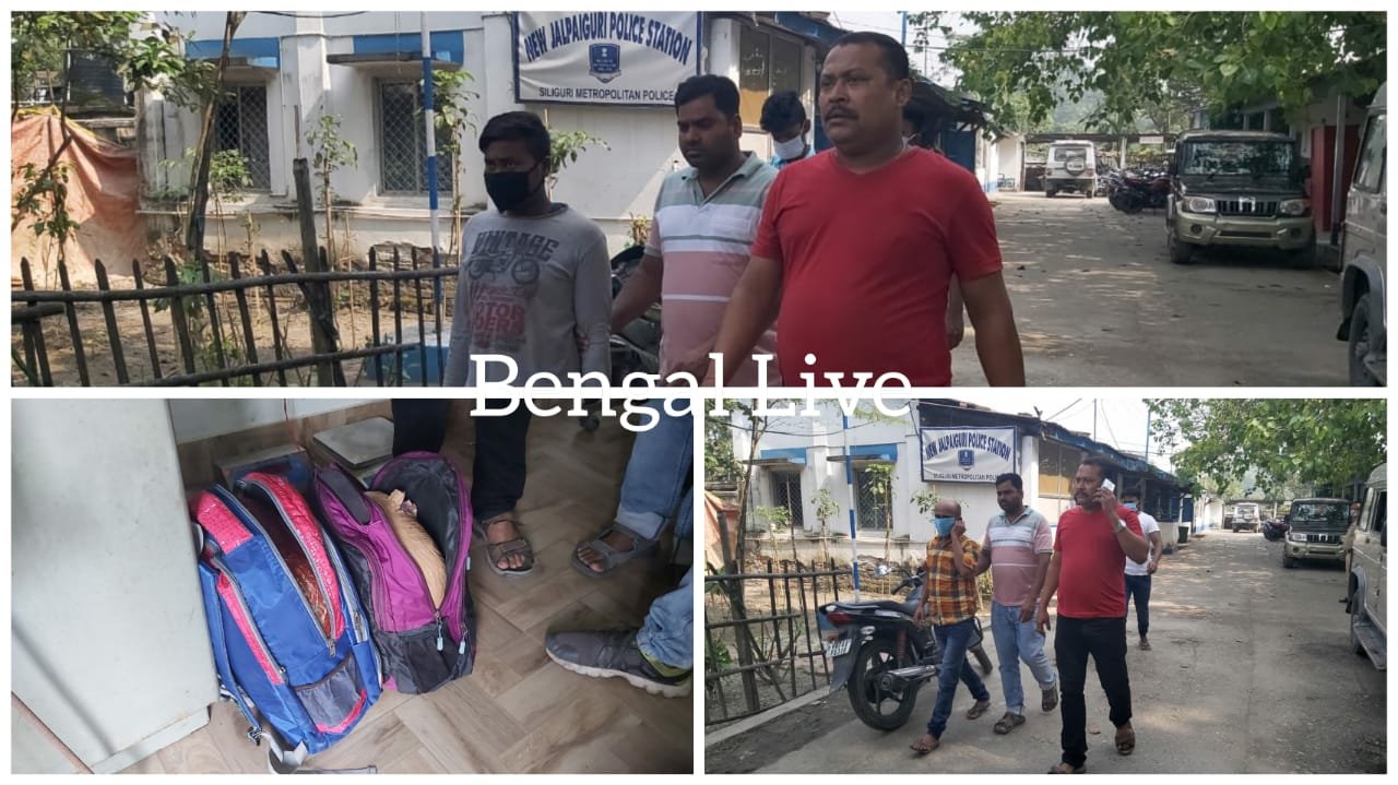 ganja and cow smuggling through north bengal