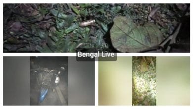 youth shot dead in north dinajpur
