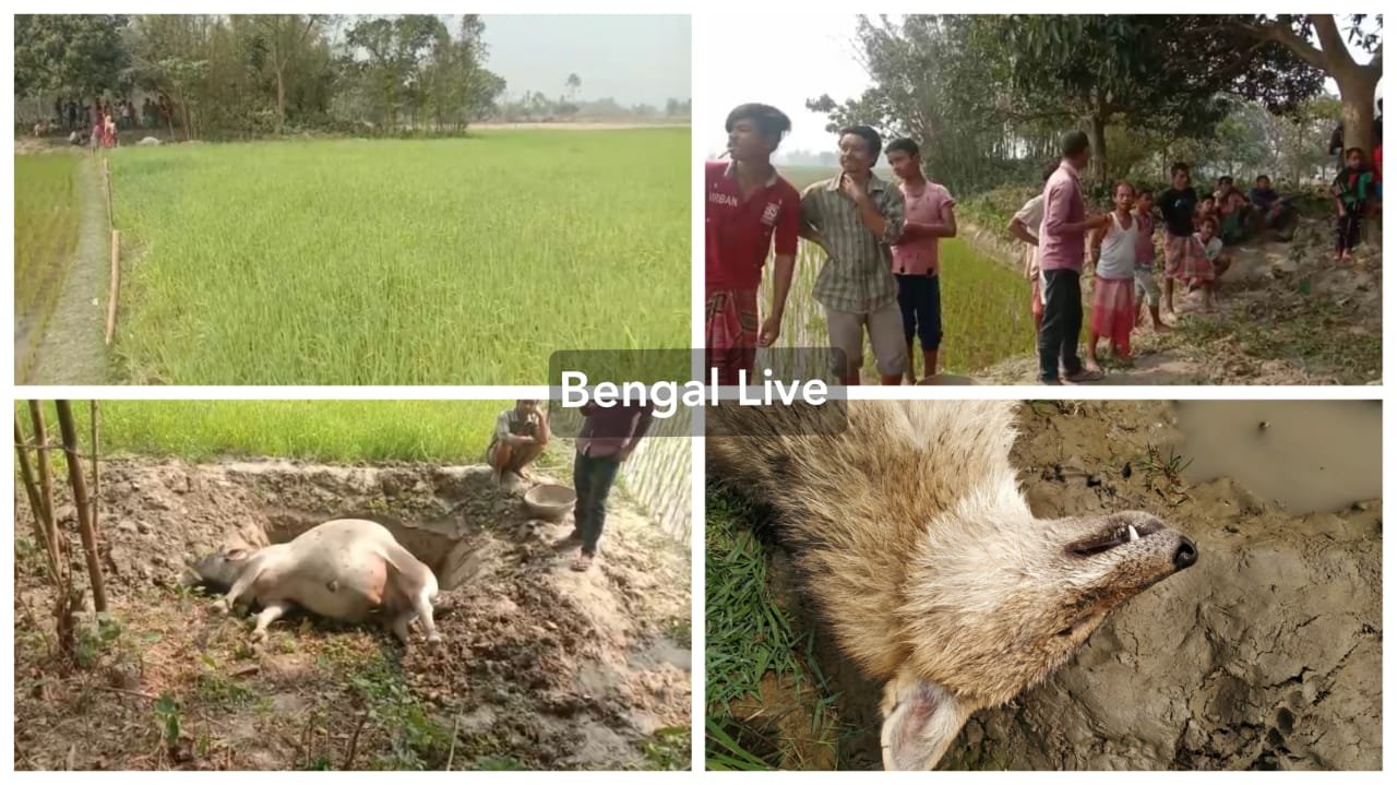 kaliyaganj in uttar dinajpur