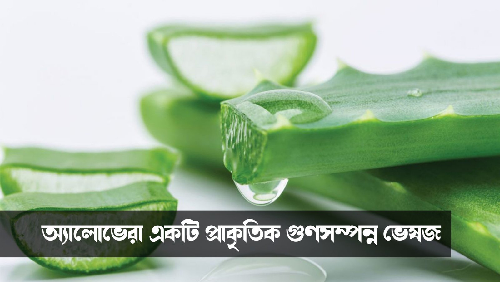 Amazing Uses for Aloe Vera