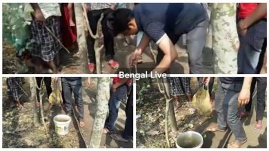 Bomb recovered from BJP worker's house