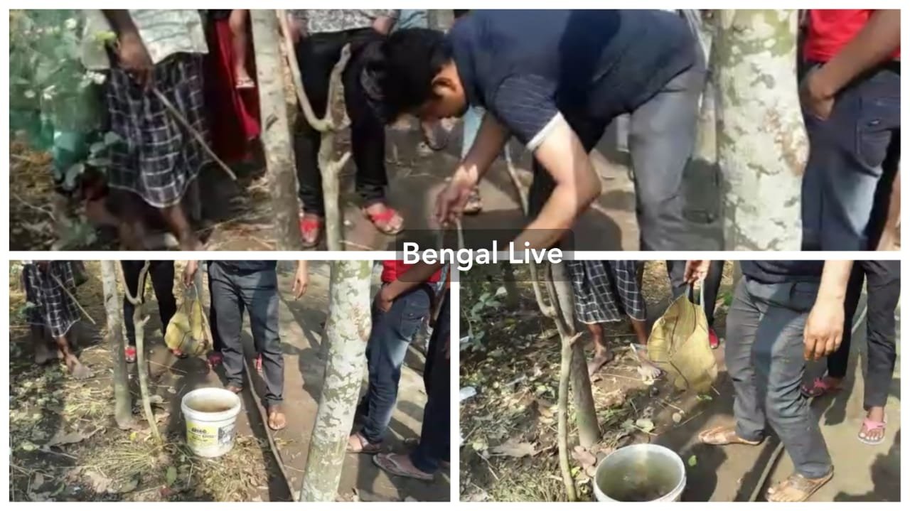 Bomb recovered from BJP worker's house