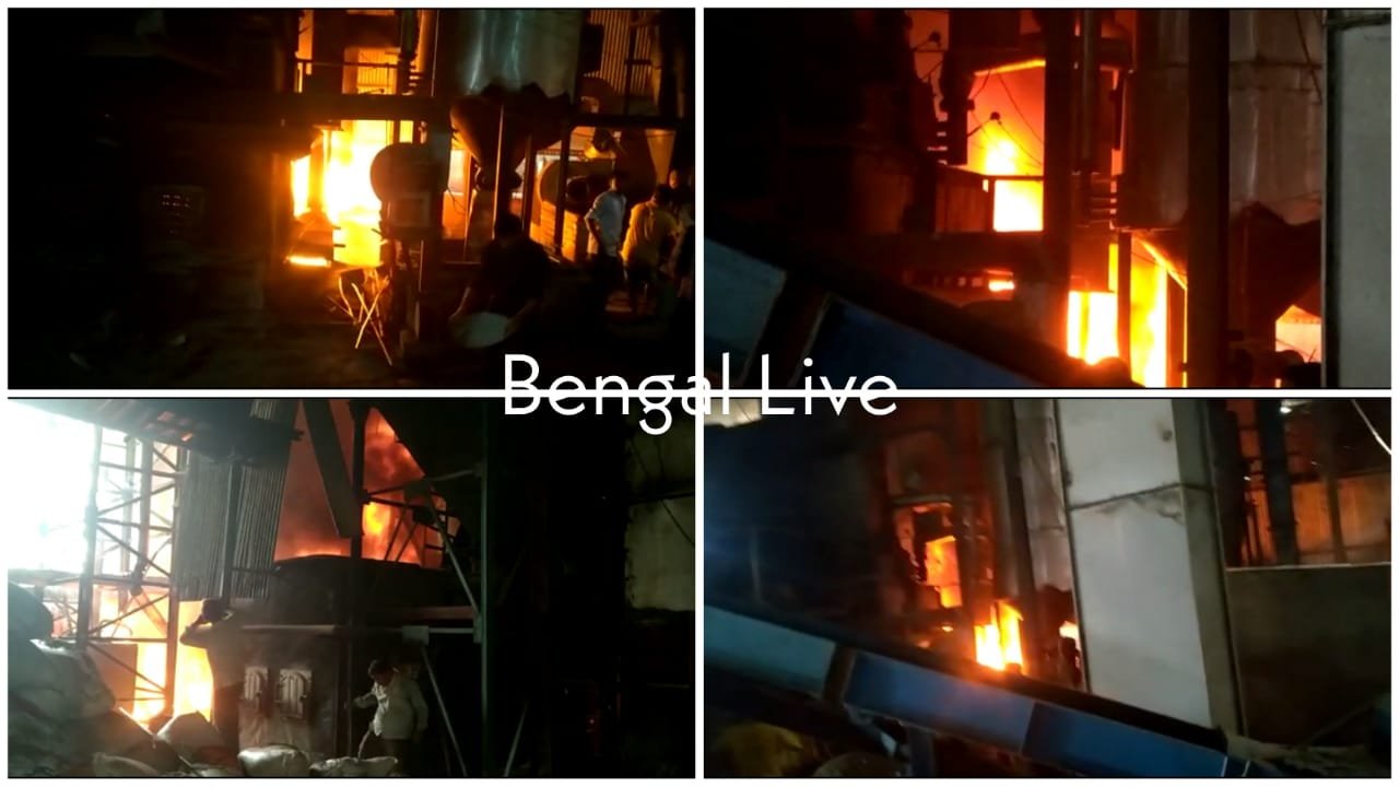 Fire at plywood factory