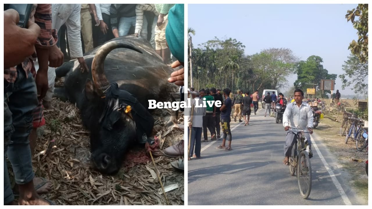 forest animals in the locality of coochbehar