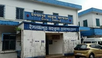 The son was accused of killing his mother
