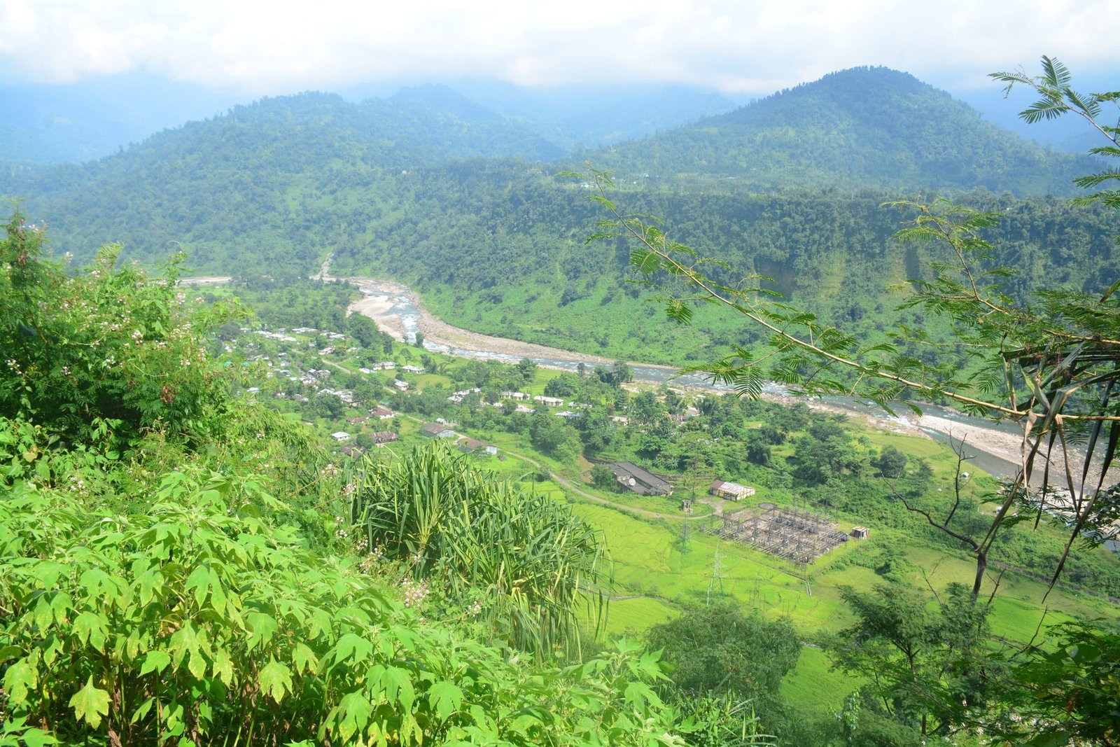 covid negative report must for tourist