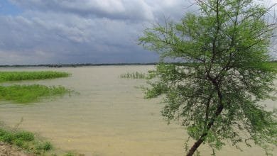rain forecast north bengal