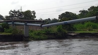 alipurduar bengali news