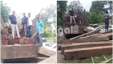 wood smuggling in north bengal