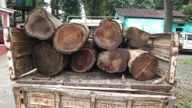 The forest department stopped the smuggling of timber by firing in the air.